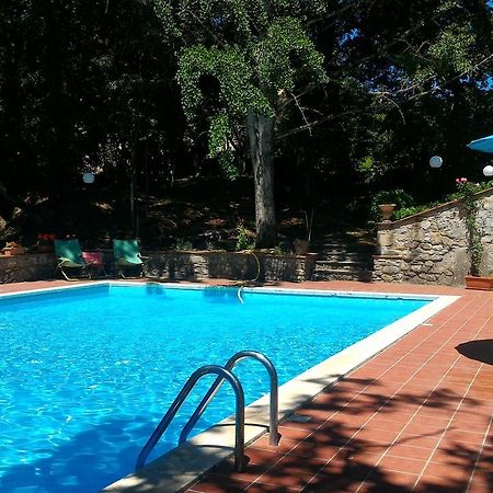 Villa La Nussa Capolona Dış mekan fotoğraf